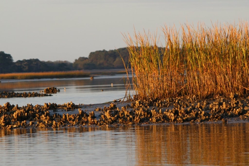 Scientists study natural processes affecting Eastern Shore aquifers  