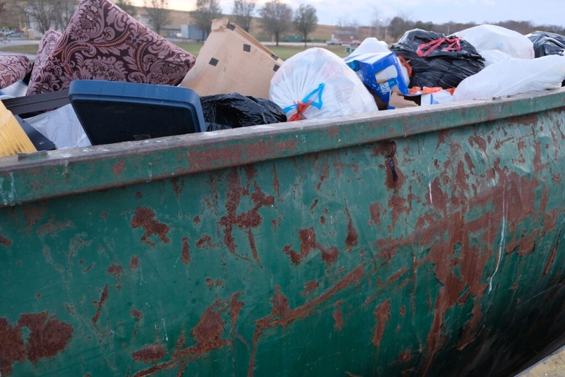 Dear Virginia, here’s lots more of our trash. All the best, Maryland