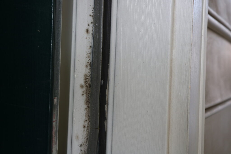 If passed, this bill would strengthen protections for Virginia renters exposed to mold