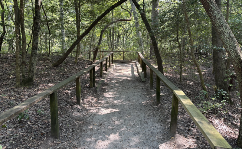 Cape Henry’s sand dunes in Virginia Beach are older than ancient pyramids, ODU researchers say