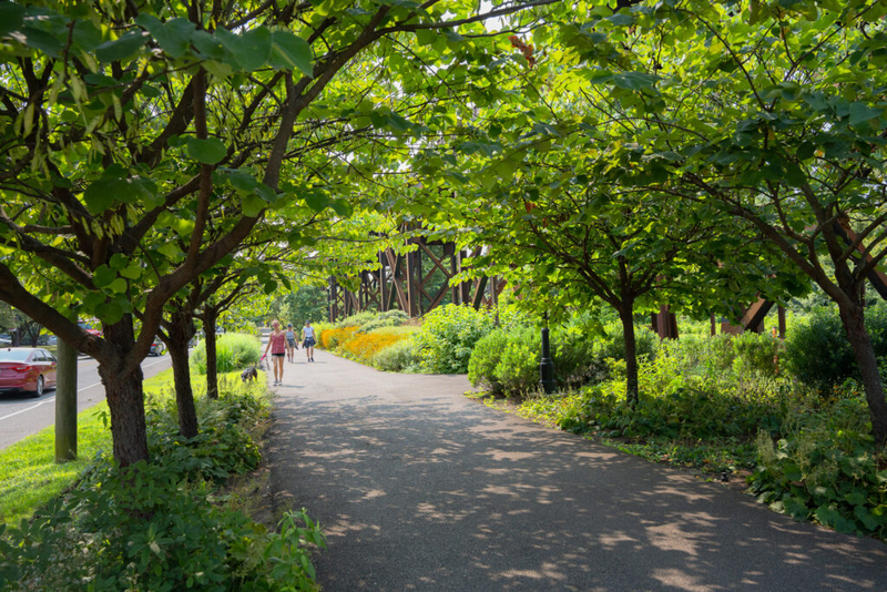 Trees take root as Virginia’s frontline defense against urban heat