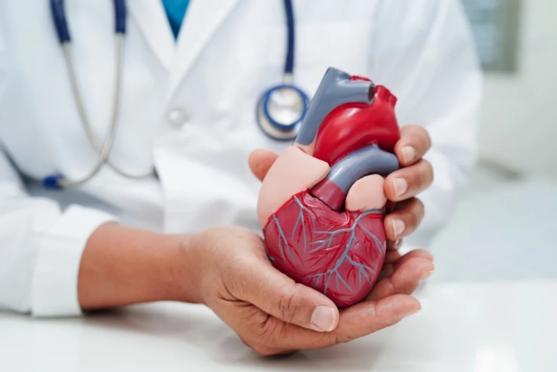 Cardiovascular health spending has tripled, but death rates are rising in major Hampton Roads cities