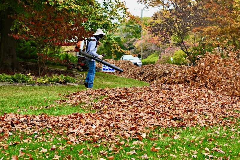 Legislators didn’t allow local bans of gas-powered leaf blowers. Va. localities are doing it anyway.