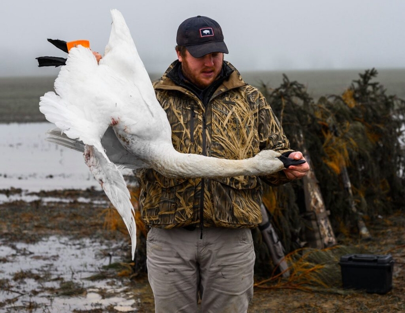 If you enjoy Virginia’s wildlife, thank a hunter or angler
