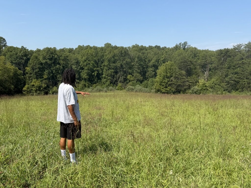 ‘Priceless to me’: Valley Link transmission line threatens generational farm in Orange County
