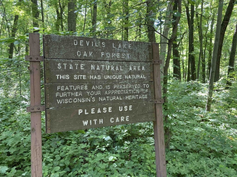 Wisconsin Assembly Dems introduce bills to protect ‘rights of nature’ and reinstitute mining law