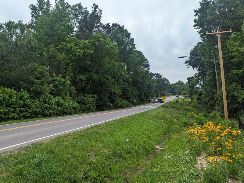 Cheek Road