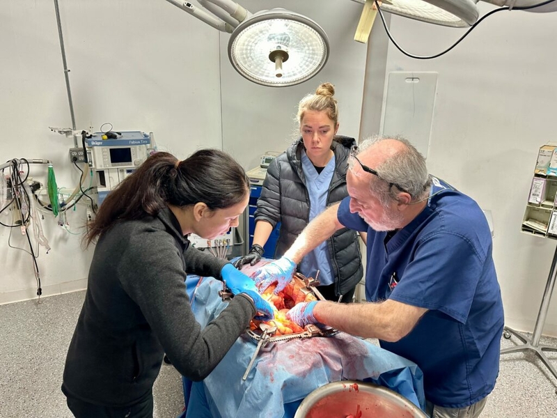 Doctors work on a "patient" in a simulation training event.