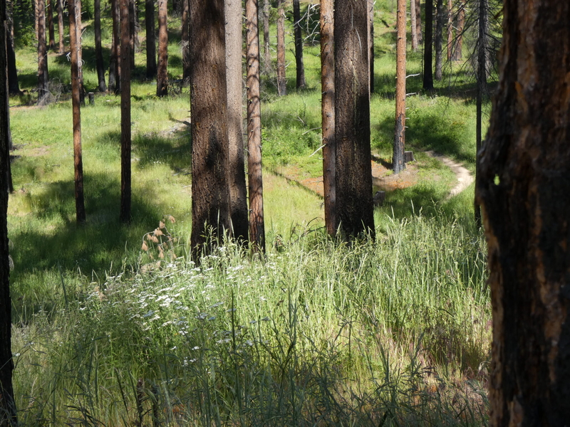 Photo essay: Communities embrace fire to protect against out-of-control blazes