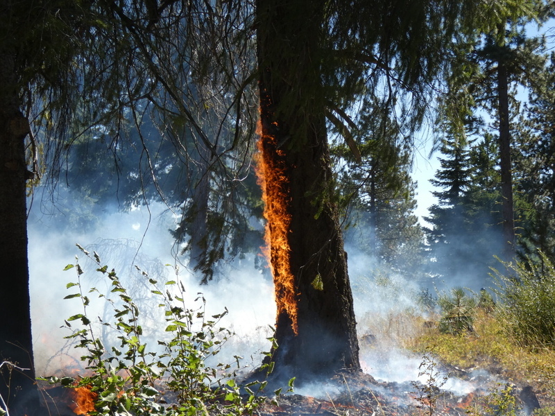 Photo essay: Communities embrace fire to protect against out-of-control blazes