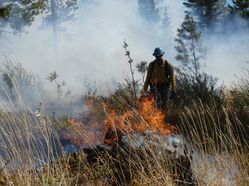 This Washington town is burning. That’s the plan.