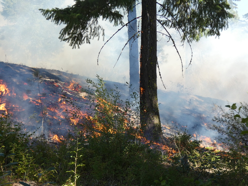 Photo essay: Communities embrace fire to protect against out-of-control blazes