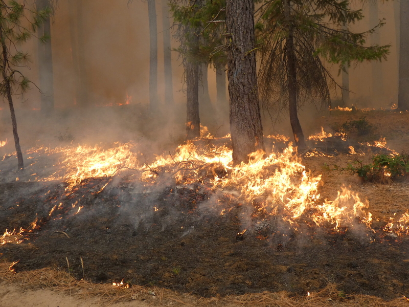 Photo essay: Communities embrace fire to protect against out-of-control blazes