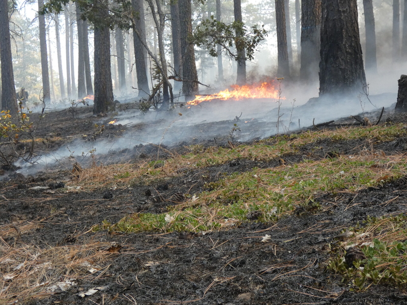Photo essay: Communities embrace fire to protect against out-of-control blazes