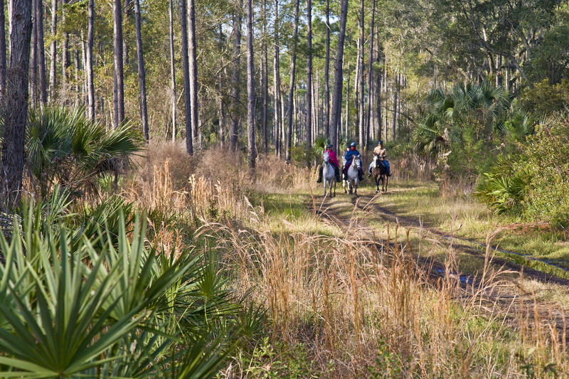 Gov. DeSantis’ latest plan to hand over preserved land united Florida – against him