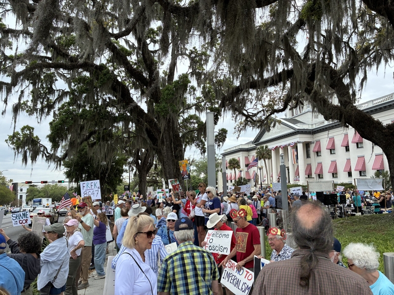 No Kings marches attract crowds even in conservative areas of Florida