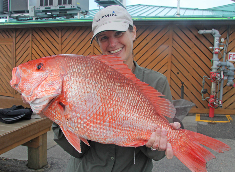 Red snapper fish fight highlights Florida governor’s disdain for science