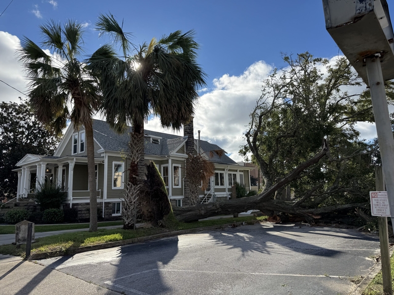 Hurricane Isaias uprooted this tree near a law office in downtown Pensacola, Florida. It was one of many trees on the ground on Oct. 10, 2026, the morning after the storm.