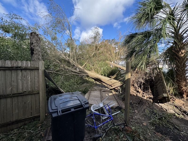 A tree took out a fence and landed on top of a power line in the backyard of a home near downtown Pensacola, Florida.