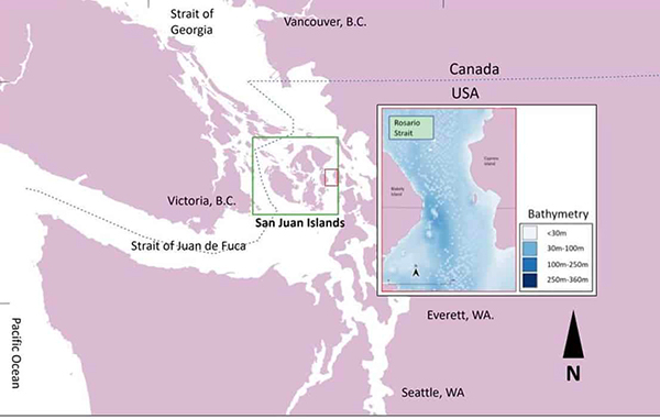 Utility serving San Juan Islands proposes to harness tidal power