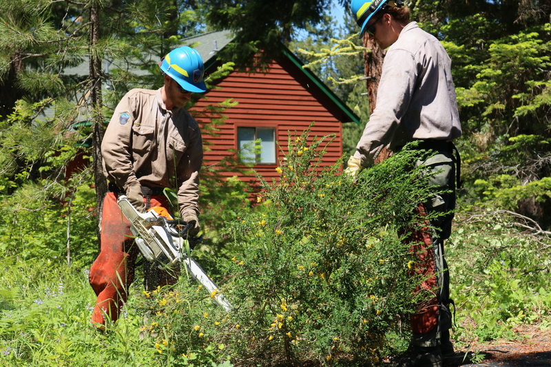 Trying to prevent a catastrophic blaze in a fire-prone part of Washington