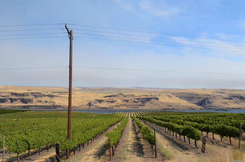 Rising tension in central WA as farmland is eyed for energy and data center projects