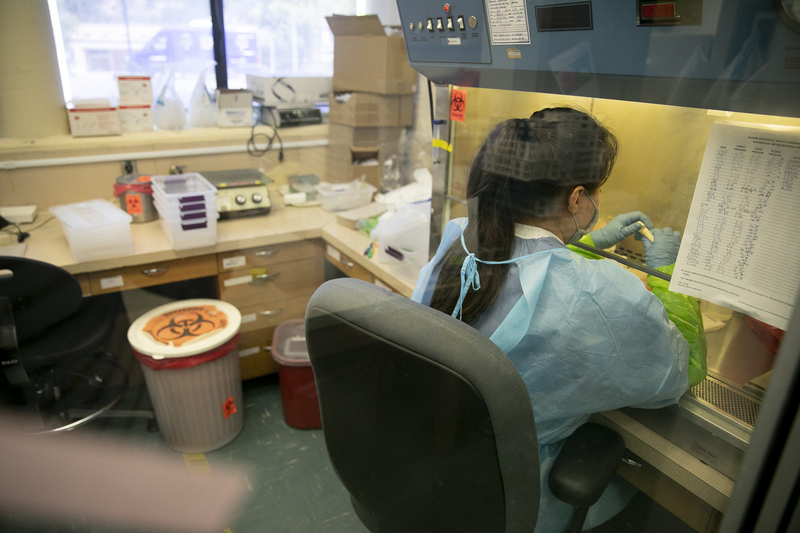 Meredith Reyes, a lab technician 1, labels. COVID-19 swab tests before processing at the Sonoma County Department of Public Health on June 8, 2021. Photo by Anne Wernikoff, CalMatters