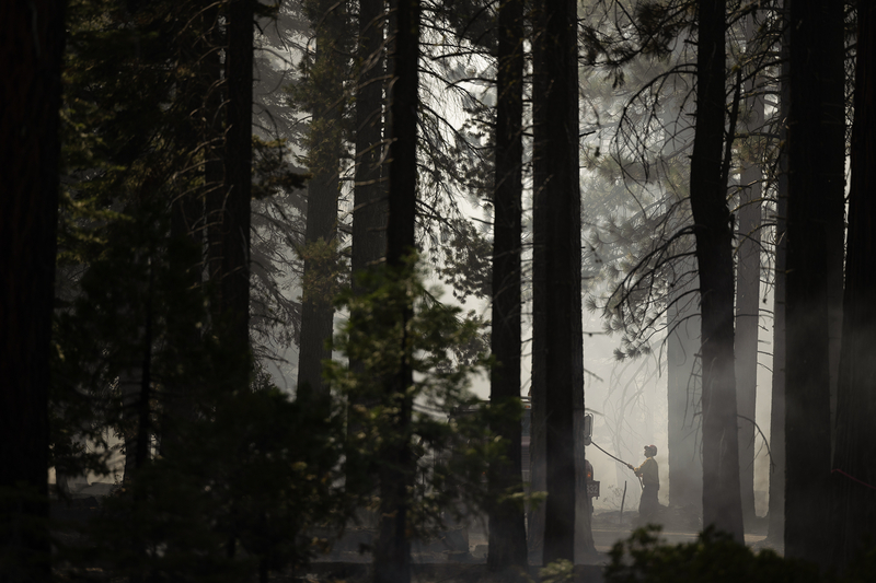 A dense forest with tall trees is shrouded in smoke. Sunlight filters through the branches, casting shadows. In the background, a firefighter is visible near a fire truck, holding a hose. The surrounding air appears hazy, with smoke lingering among the trees.