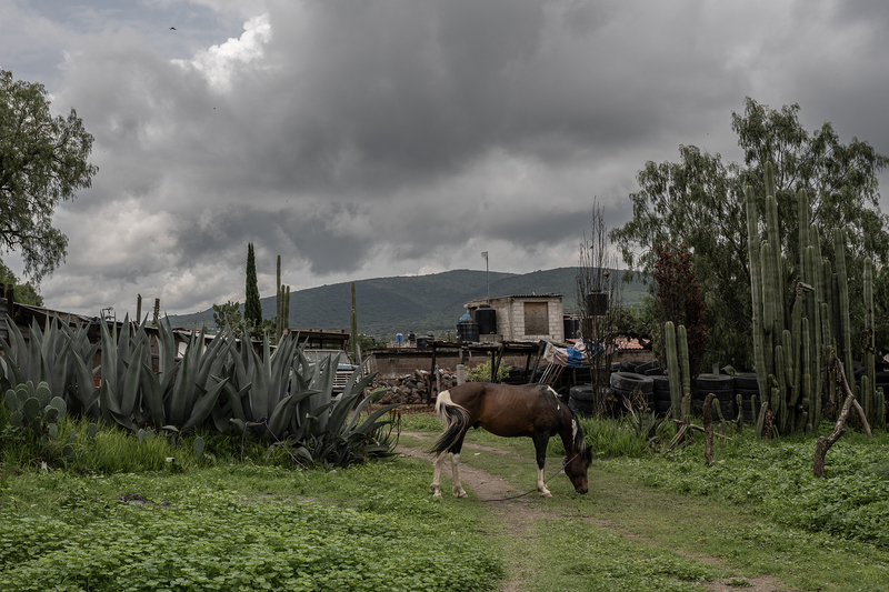 Homestead Raid Taken: What happens after an LA immigration raid | News From The States