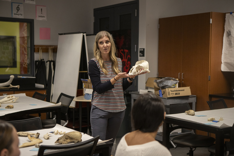 A person standing in front of a classroom of students holding up an animal skull while talking to the class. Bones of other animals can be seen on the desk in front of the students. In the background, some shelves and boxes are stacked behind the woman.