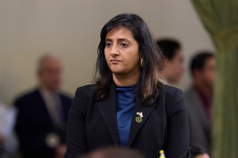 ‘Valleycrat’ or Mamdani wannabe?: California Democrats are split on how to win swing votes