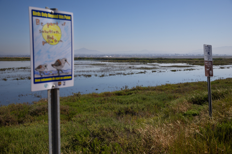 How sewage pollution in a California beach town is affecting kids’ health: Headaches, rashes and more