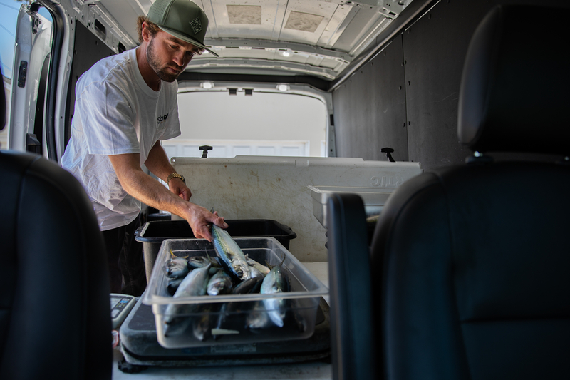 fishery, restaurant, local seafood, seafood, sushi, food, san diego, california, apprenticeship