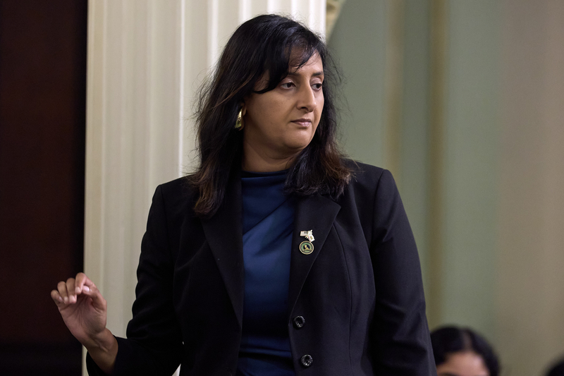 A person wearing a dark blazer and blue top stands inside a legislative chamber, looking to the side while holding one hand slightly raised. Columns and blurred figures appear in the background.