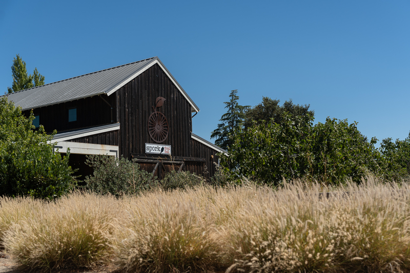 A barn-like structure with a sign reading Spork Food Hub stands next to a small orchard and tall yellow wild grass.