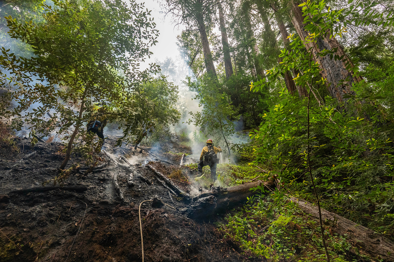 A firefighter stands on a steep hill surrounded by tall pine trees and burned vegetation as fire smoke lingers in the air.