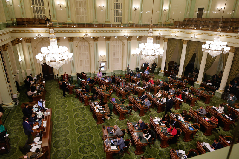An overhead view of lawmakers sitting in rows of desks inside a legislative room, decorated with white chandeliers and beige and green fixtures.