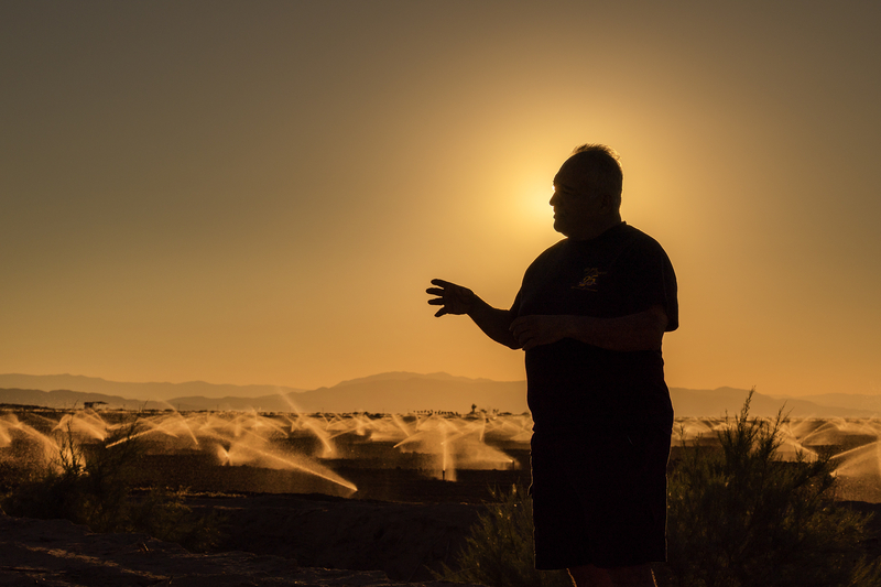A silhouetted person gestures while standing before a wide agricultural landscape at sunset. Rows of irrigation sprinklers spray water across fields beneath a golden sky, with distant mountains visible on the horizon.