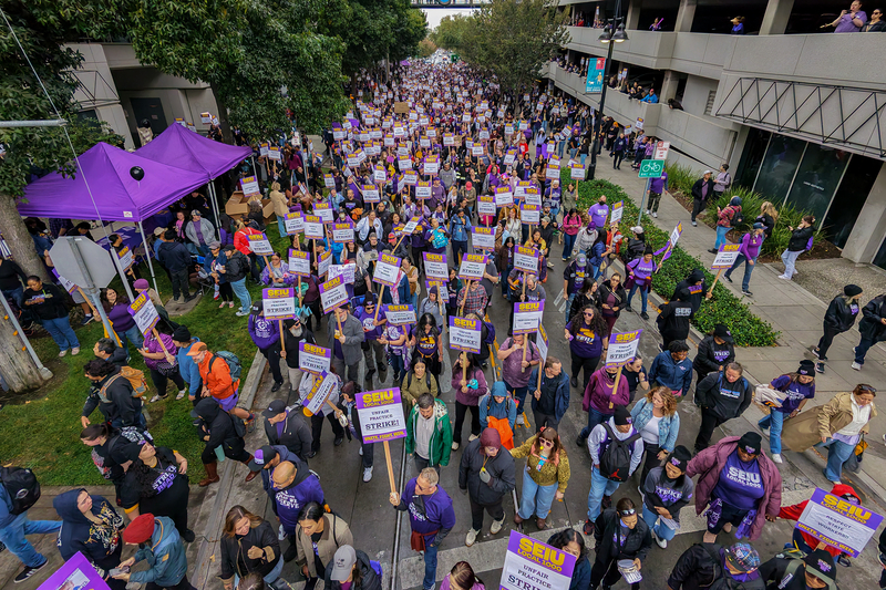 An aerial view of people filling a public street as they march and hold purple signs during a protest.
