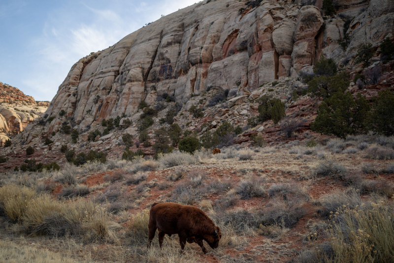 President Trump shrinks Bears Ears and Grand Staircase-Escalante — again