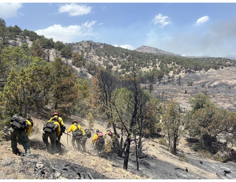More Utah forests are burning than ever before. Here’s why that matters