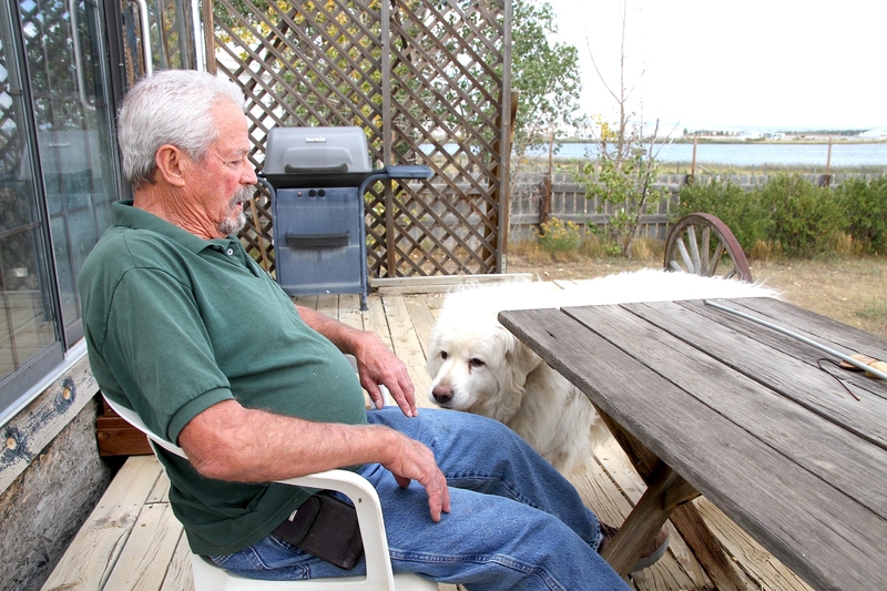 Pelican-killing dispute divides an Albany County community