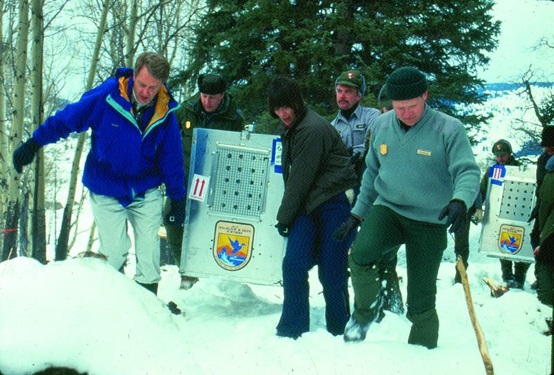 ‘We got lucky’: Ken Roberts reflects on Mollie’s Pack and his 6 years as a Wyoming Game and Fish commissioner