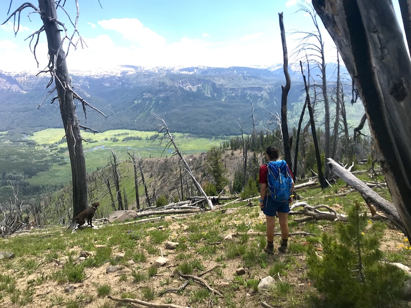 Chief Tom Schultz details, defends largest Forest Service reorganization in a century