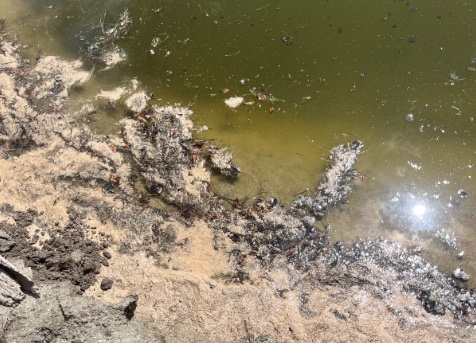 Wyoming lake’s unnerving rusty-red water persists as experts offer explanations