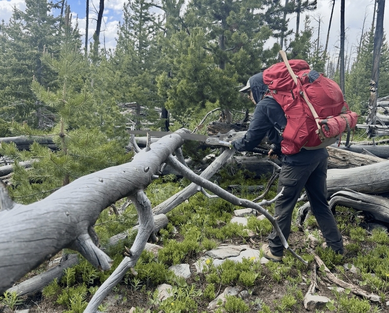 A year post-DOGE, Wyoming forest workers still feel uncertainty and chaos
