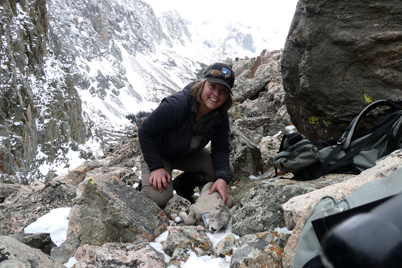 Female biologists in Wyoming responsible for groundbreaking research