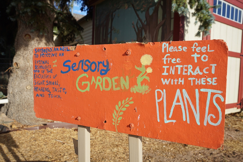 Devastated by DOGE, Wyoming food nonprofit navigates new funding landscape