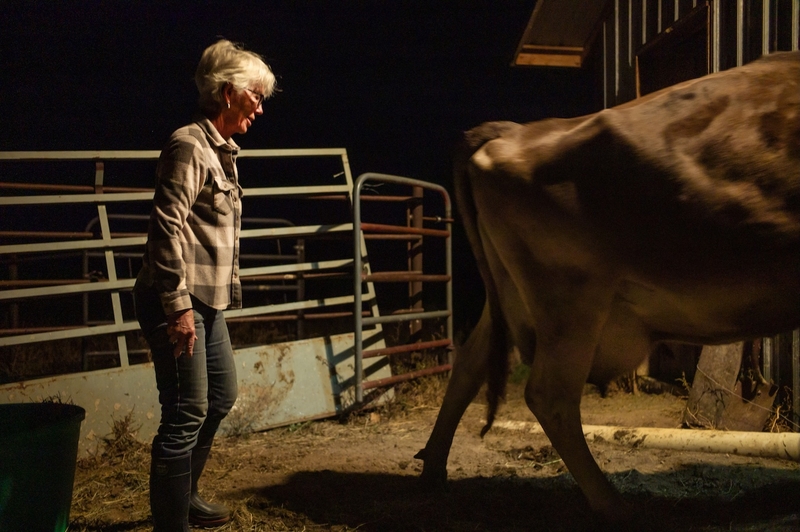 Wyoming’s twin sacred cows — water and private property rights — clash on the ballot in Hyattville