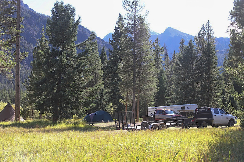 No Mollie’s Pack, Yellowstone wolves killed, state reports after hunt area’s quick close